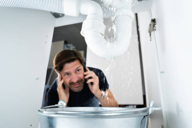 Best Water Leak Repair  in Paloma Creek, TX