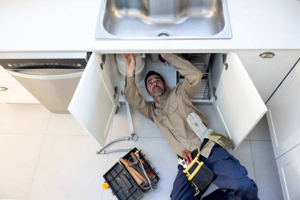 Best Clogged Drain Plumber  in Paloma Creek, TX