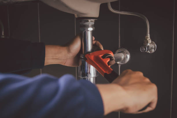 Best Commercial Plumbing Services  in Paloma Creek, TX