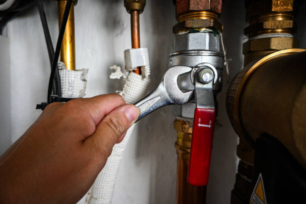 Best Local Plumber Services  in Paloma Creek, TX